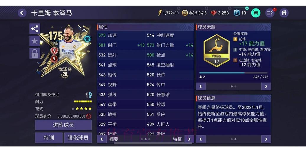 世界杯外围平台会员等级专属权益全面解析 世界杯外围平台会员等级专属权益全面解析